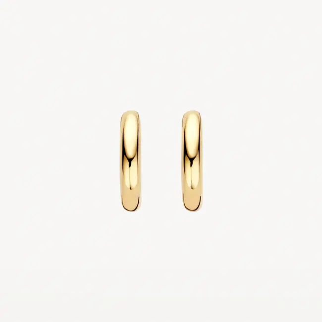 Oorringen LG7021Y - 14k Geelgoud