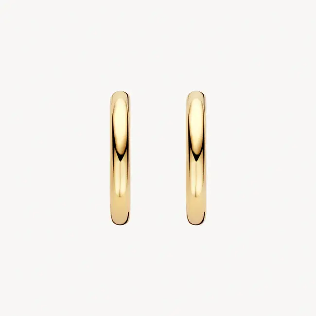 Oorringen LG7022Y - 14k Geelgoud