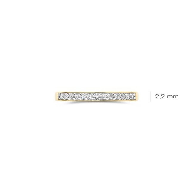 Blush Lab Diamonds Ring LG1033Y – Geelgoud (14k)
