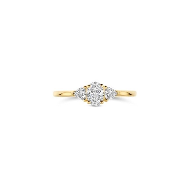 Blush Lab Diamonds Ring LG1039Y – Geelgoud (14k)