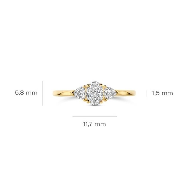 Blush Lab Diamonds Ring LG1039Y – Geelgoud (14k)
