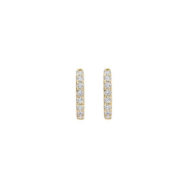 Blush Lab Diamonds Oorringen LG7029Y - Geelgoud (14k)