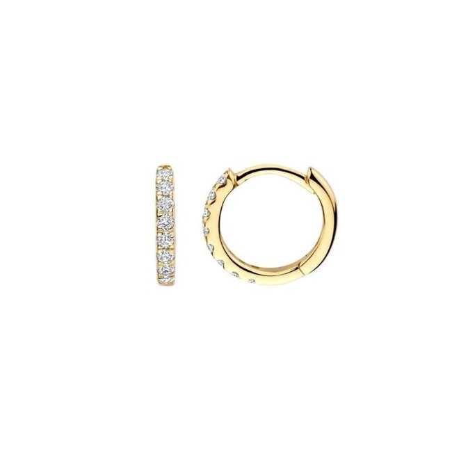 Blush Lab Diamonds Oorringen LG7029Y - Geelgoud (14k)