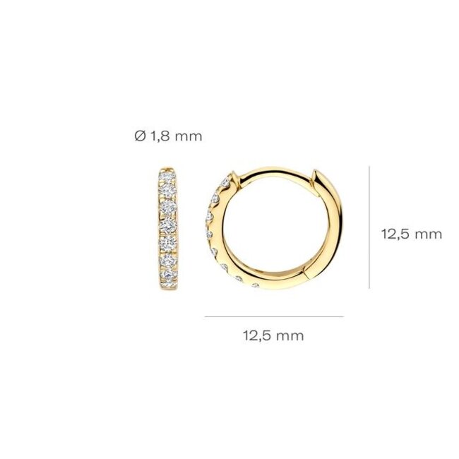 Blush Lab Diamonds Oorringen LG7029Y - Geelgoud (14k)