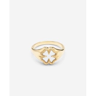Buddha to Buddha Signet Ring Katja Clover Mother of Pearl Verguld