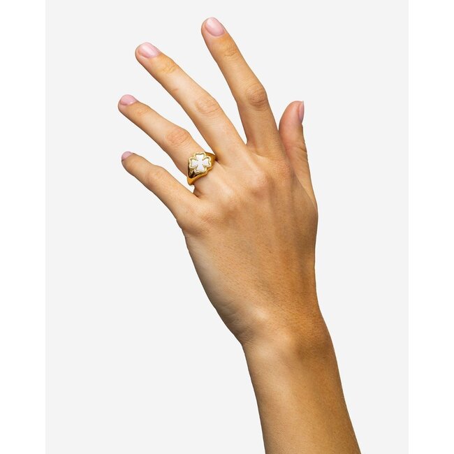 Signet Ring Katja Clover Mother of Pearl Verguld