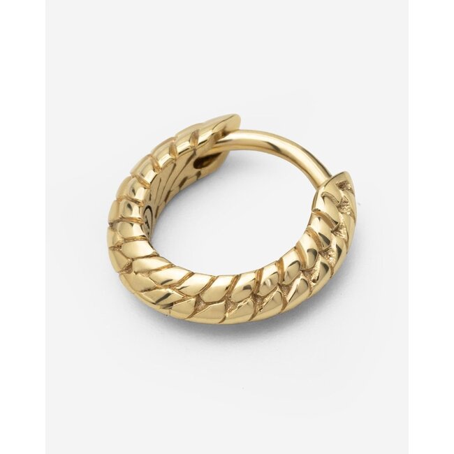 Oorbel Ben Verguld Single Piece