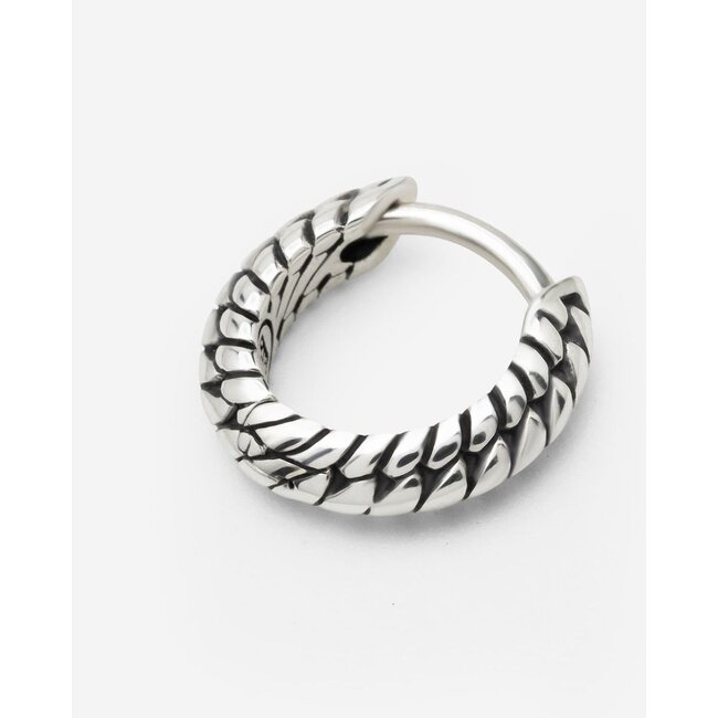 Oorbel Ben Zilver Single Piece