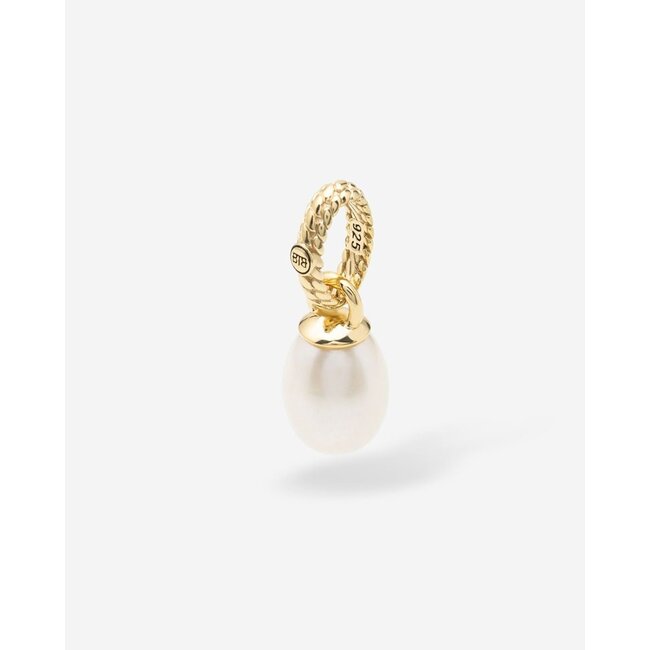 Ben Hanger Pearl Verguld