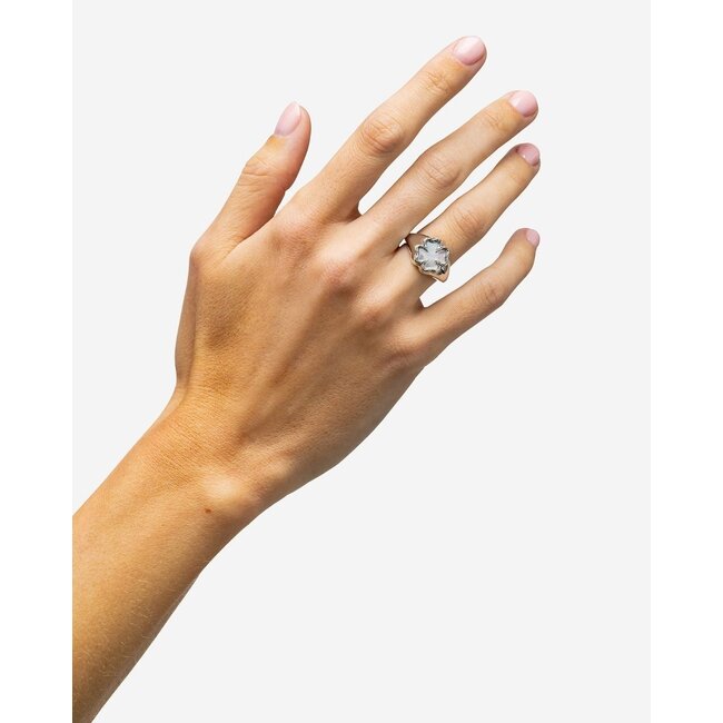 Signet Ring Katja Clover Mother of Pearl Zilver