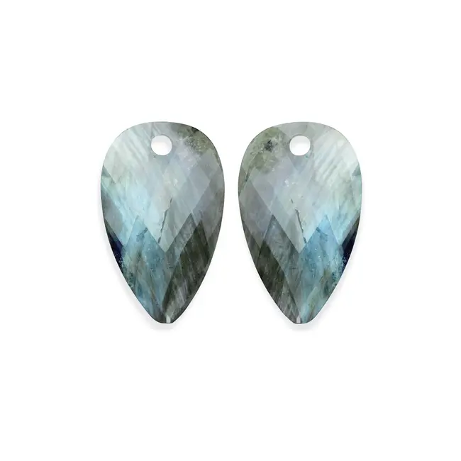 Oorbel Edelstenen Blossom Labradorite