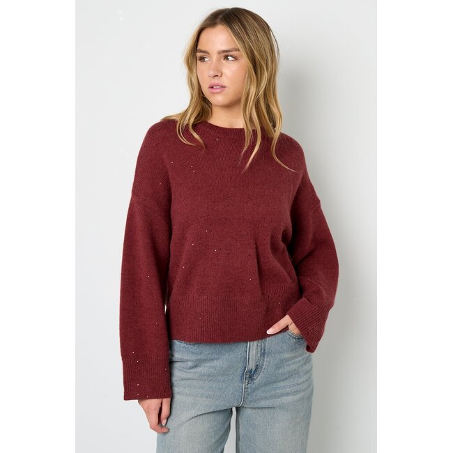 Glinsterende gebreide trui - Karmozijnrood