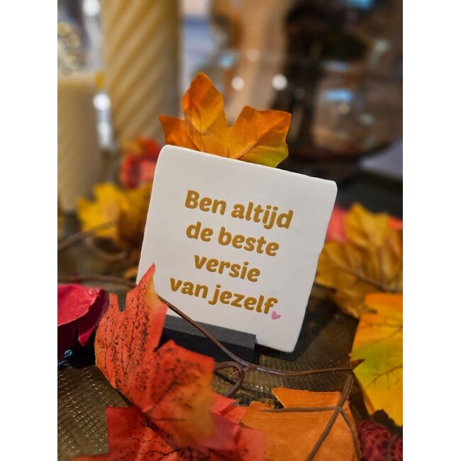 Tegeltje - Ben altijd de beste versie...