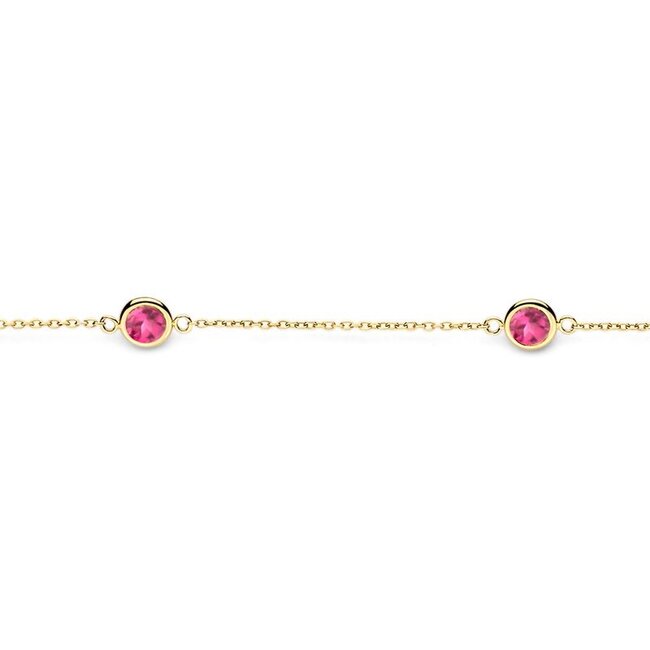 Armband 2266YGP - Geelgoud (14k) met Rhodoliet
