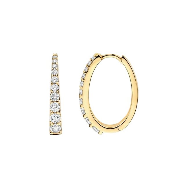 Oorringen 7375YZI - Geelgoud (14k) met Zirconia