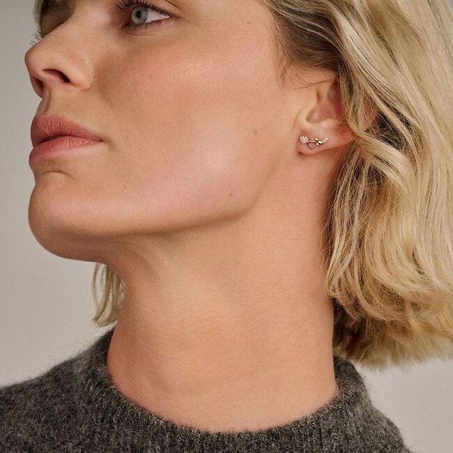 Oorknoppen 7376YZI - Geelgoud (14k) met Zirconia