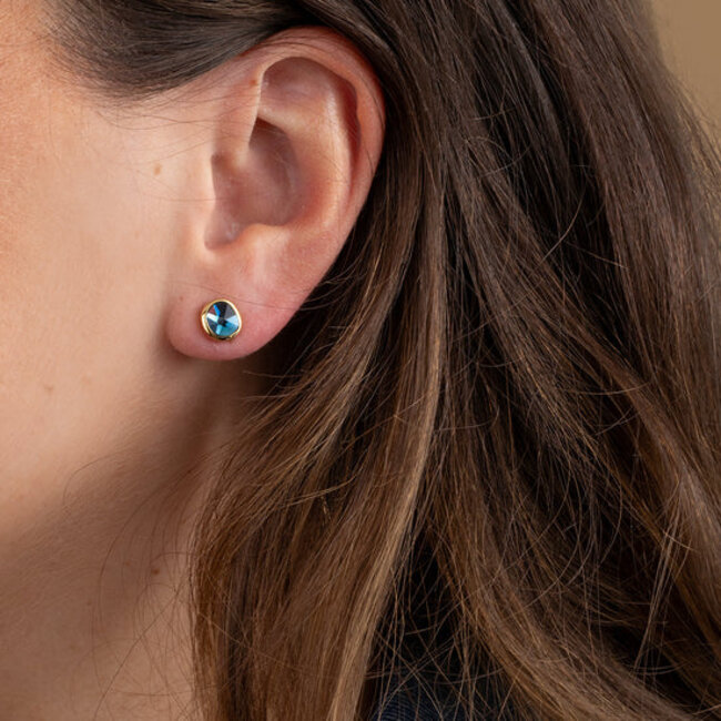 Friends Abigail Oorbellen Montana