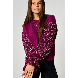My Jewellery Paarse sweater met pailletten mouwen