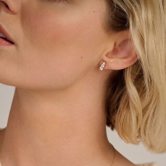 Blush Lab Diamonds Oorknoppen LG7030Y – Geelgoud (14k)