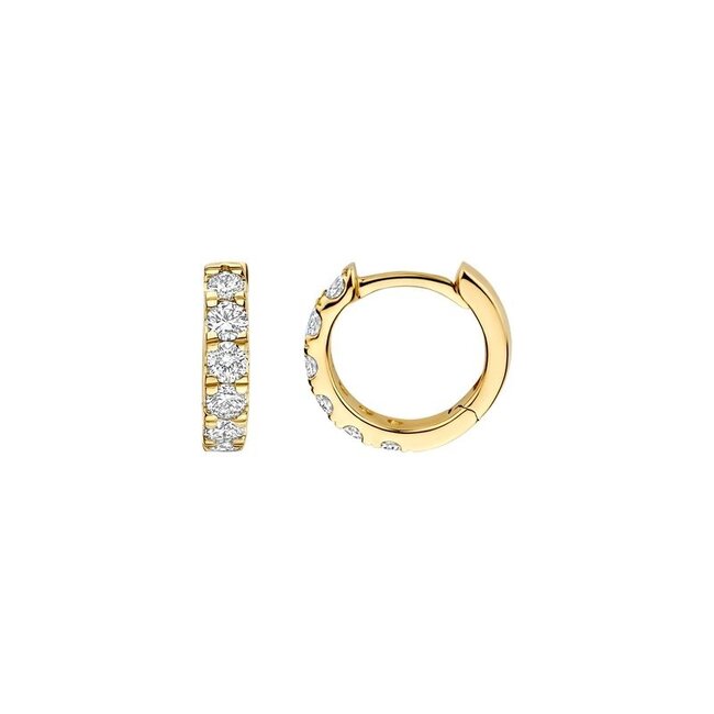 Blush Lab Diamonds Oorringen LG7031Y – Geelgoud (14k)