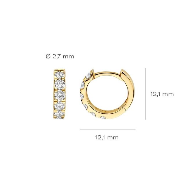 Blush Lab Diamonds Oorringen LG7031Y – Geelgoud (14k)