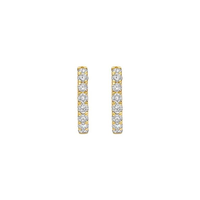 Blush Lab Diamonds Oorringen LG7032Y – Geelgoud (14k)
