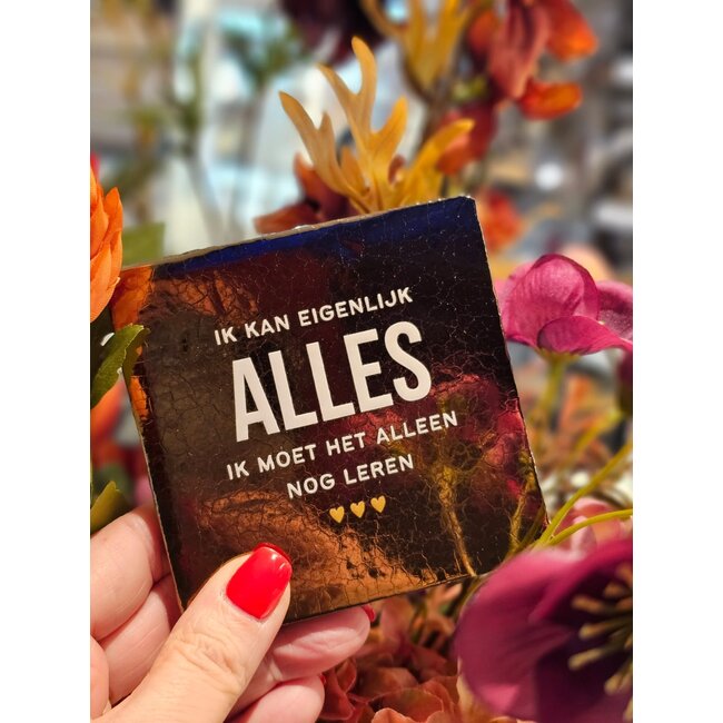 Tegeltje - Ik kan eigenlijk alles