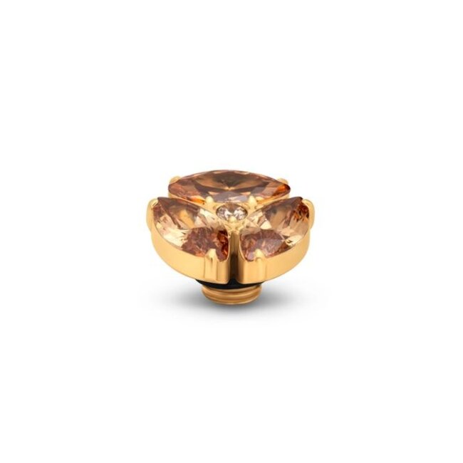 Vivid Radiance - Champagne