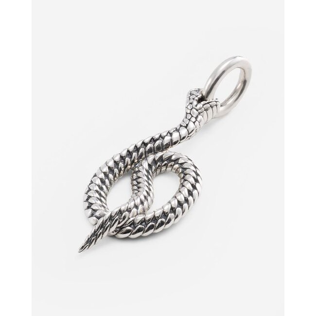 Hanger Ben Snake Zilver