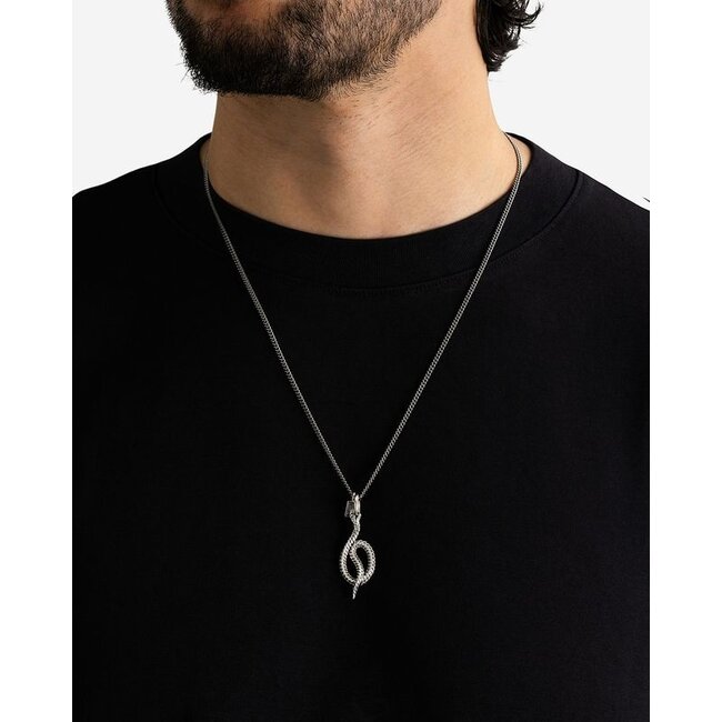 Hanger Ben Snake Zilver