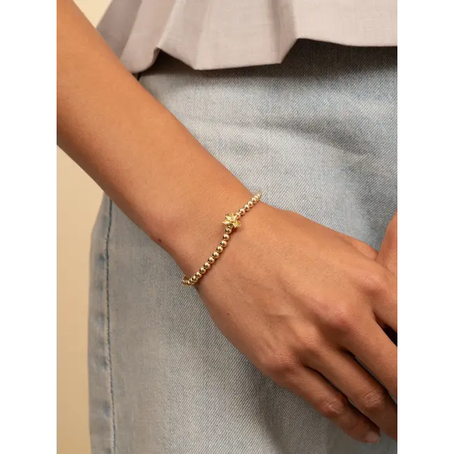 Botanic Armband Zirconia