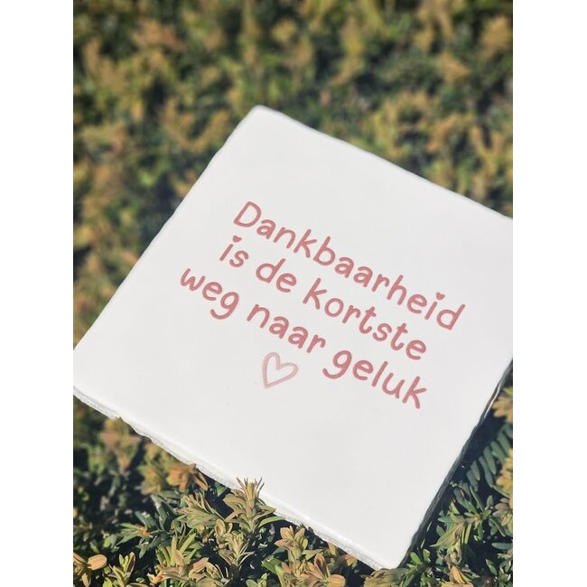 Tegeltje - Dankbaarheid is de kortste weg naar geluk