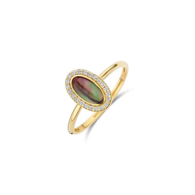 Ring 1279YMQ - Geelgoud (14k) met Mother of Pearl en Zirkonia