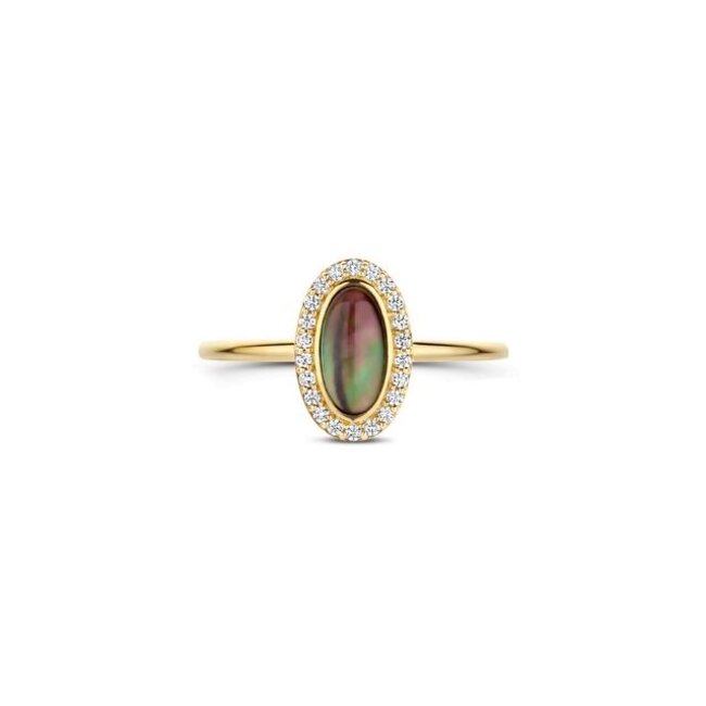 Ring 1279YMQ - Geelgoud (14k) met Mother of Pearl en Zirkonia