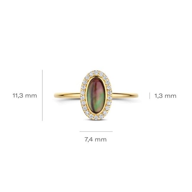 Ring 1279YMQ - Geelgoud (14k) met Mother of Pearl en Zirkonia