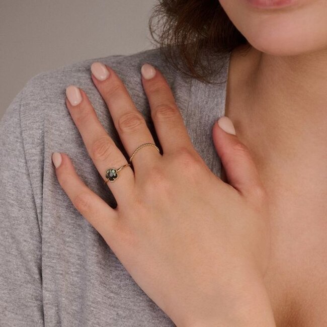 Ring 1280YBQ - Geelgoud (14k) met Black Mother of Pearl