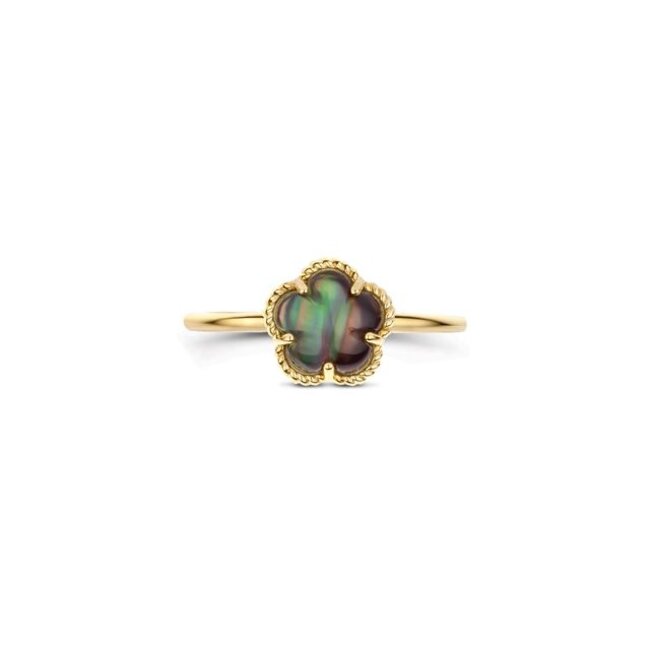 Ring 1280YBQ - Geelgoud (14k) met Black Mother of Pearl