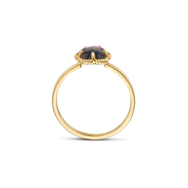 Ring 1280YBQ - Geelgoud (14k) met Black Mother of Pearl