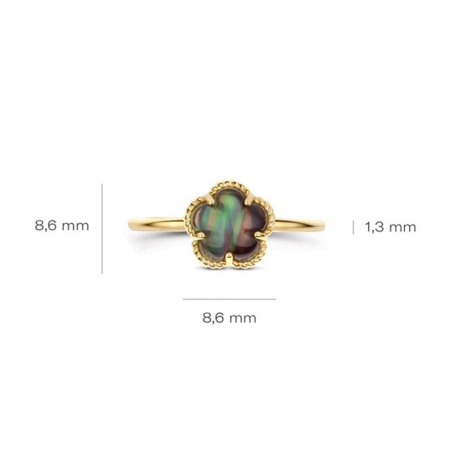 Ring 1280YBQ - Geelgoud (14k) met Black Mother of Pearl