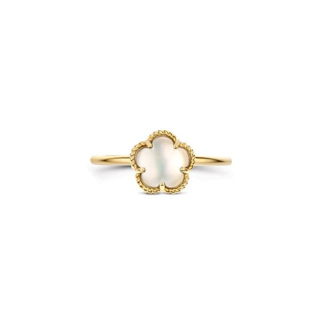 Ring 1280YMQ - Geelgoud (14k) met Mother of Pearl
