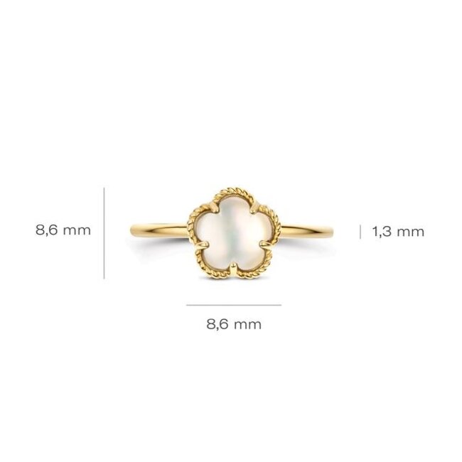 Ring 1280YMQ - Geelgoud (14k) met Mother of Pearl