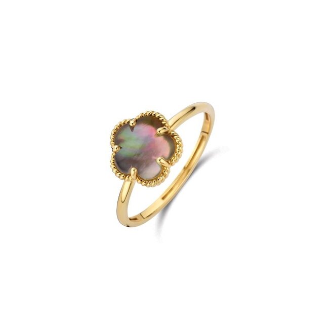 Ring 1281YBQ - Geelgoud (14k) met Black Mother of Pearl