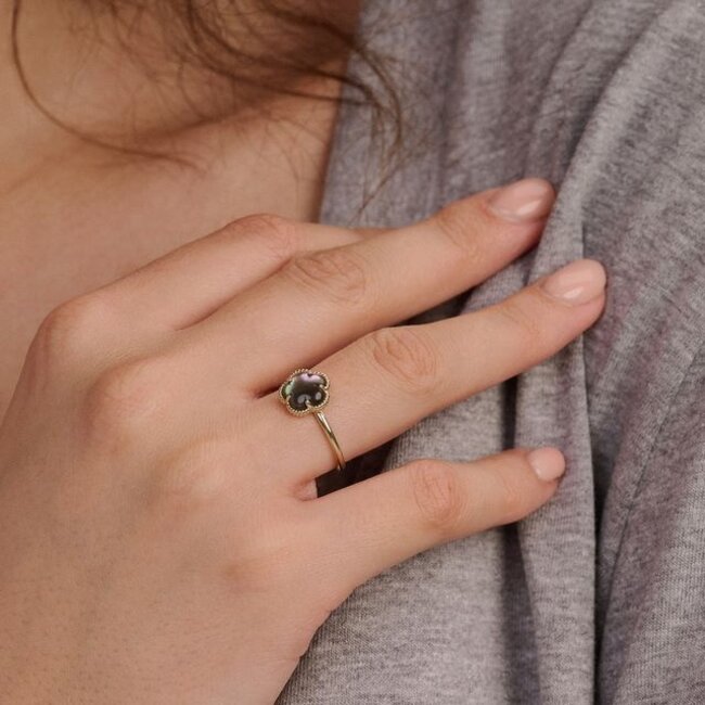 Ring 1281YBQ - Geelgoud (14k) met Black Mother of Pearl