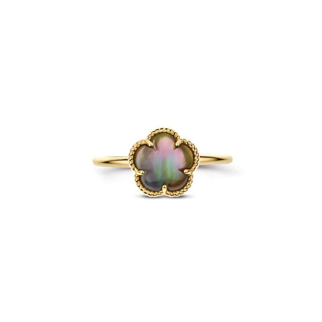 Ring 1281YBQ - Geelgoud (14k) met Black Mother of Pearl