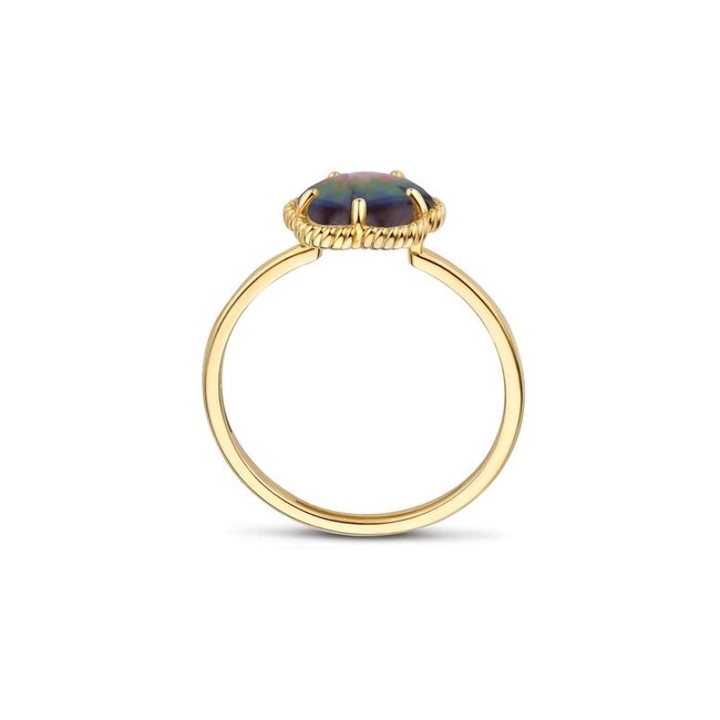 Ring 1281YBQ - Geelgoud (14k) met Black Mother of Pearl