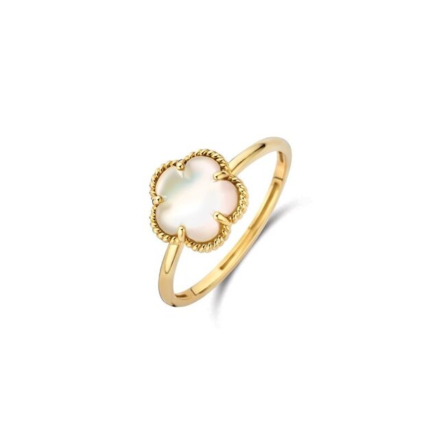 Ring 1281YMQ - Geelgoud (14k) met Black Mother of Pearl