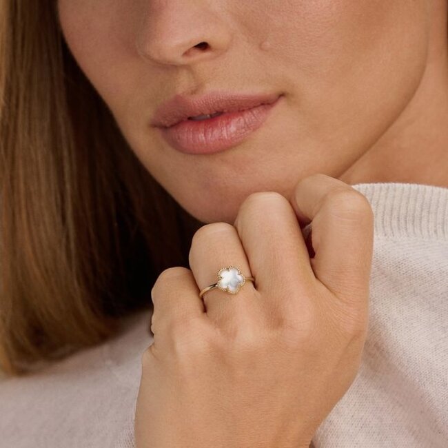 Ring 1281YMQ - Geelgoud (14k) met Black Mother of Pearl