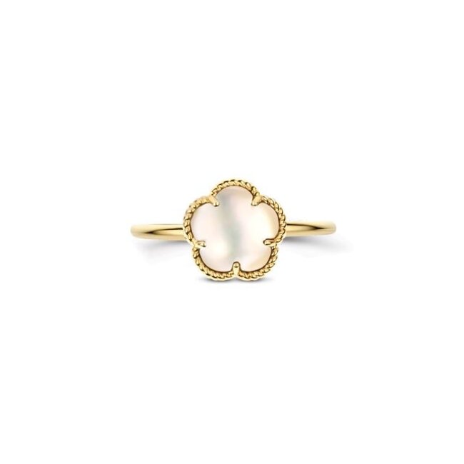 Ring 1281YMQ - Geelgoud (14k) met Black Mother of Pearl