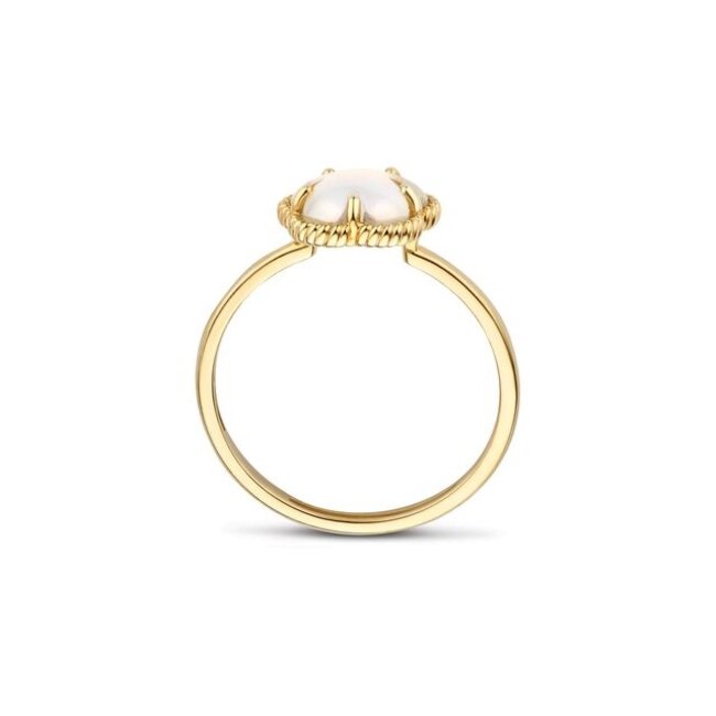 Ring 1281YMQ - Geelgoud (14k) met Black Mother of Pearl