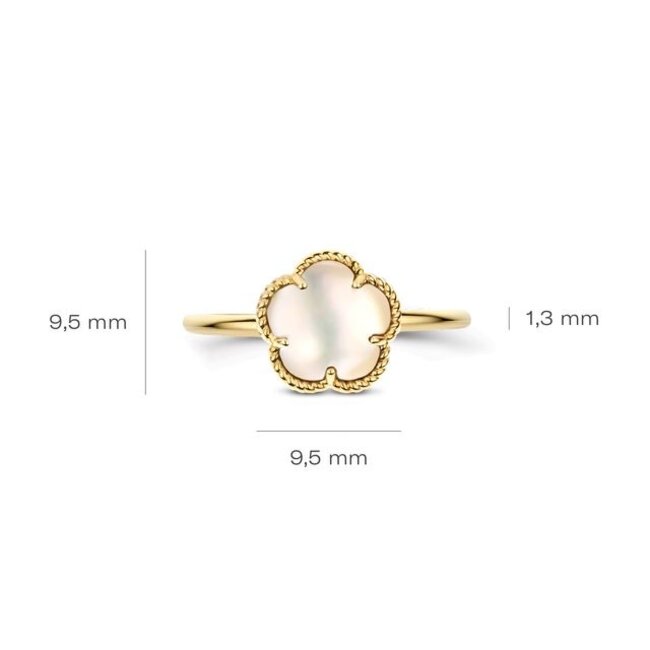 Ring 1281YMQ - Geelgoud (14k) met Black Mother of Pearl